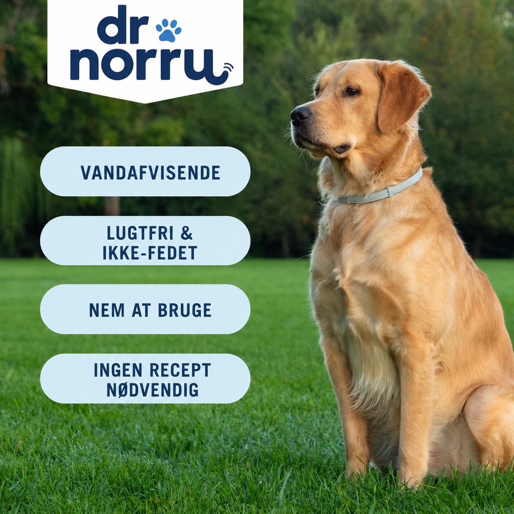 Dr. Norru justerbart loppe- flathalsband til hunde