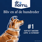 Dr. Norru justerbart loppe- flathalsband til hunde