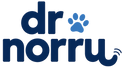 Dr Norru – Start